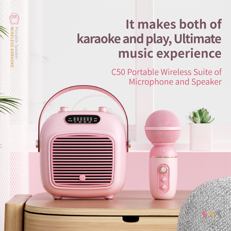 Fashion Portable Subwoofer Karaoke Speaker with Microphone Bluetooth Speaker Wireless C50