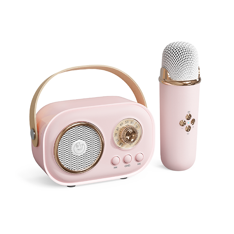 2023 Fashion mini radio fm retro vintage usb wireless bluetooth speaker karaoke speaker with mic and bluetooth C20